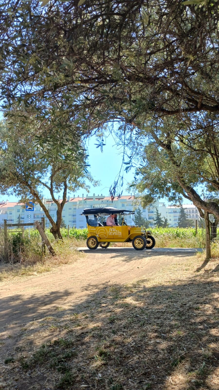 edcf031c-1b27-41bb-8ec8-07bb0a3cc7b5